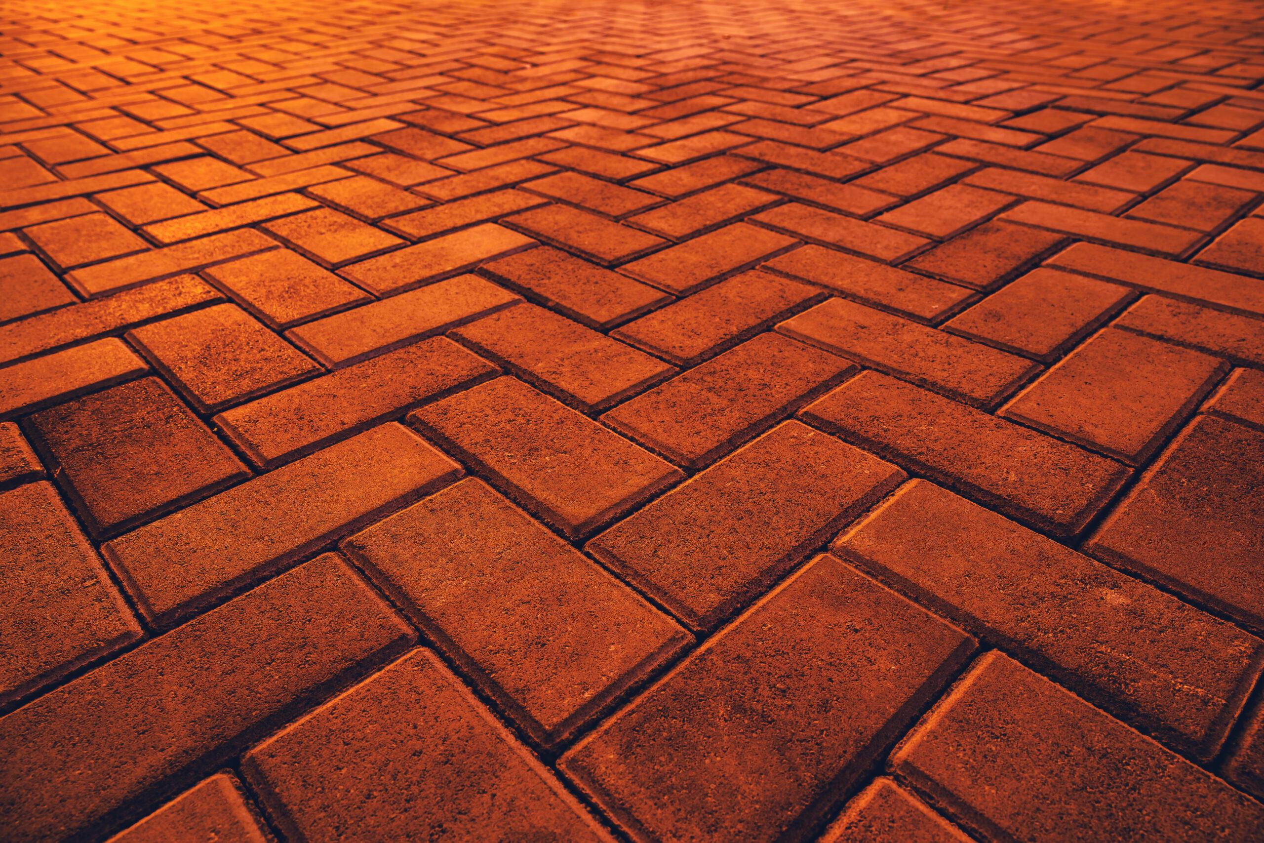 Hardscape detail — paver texture and craftsmanship