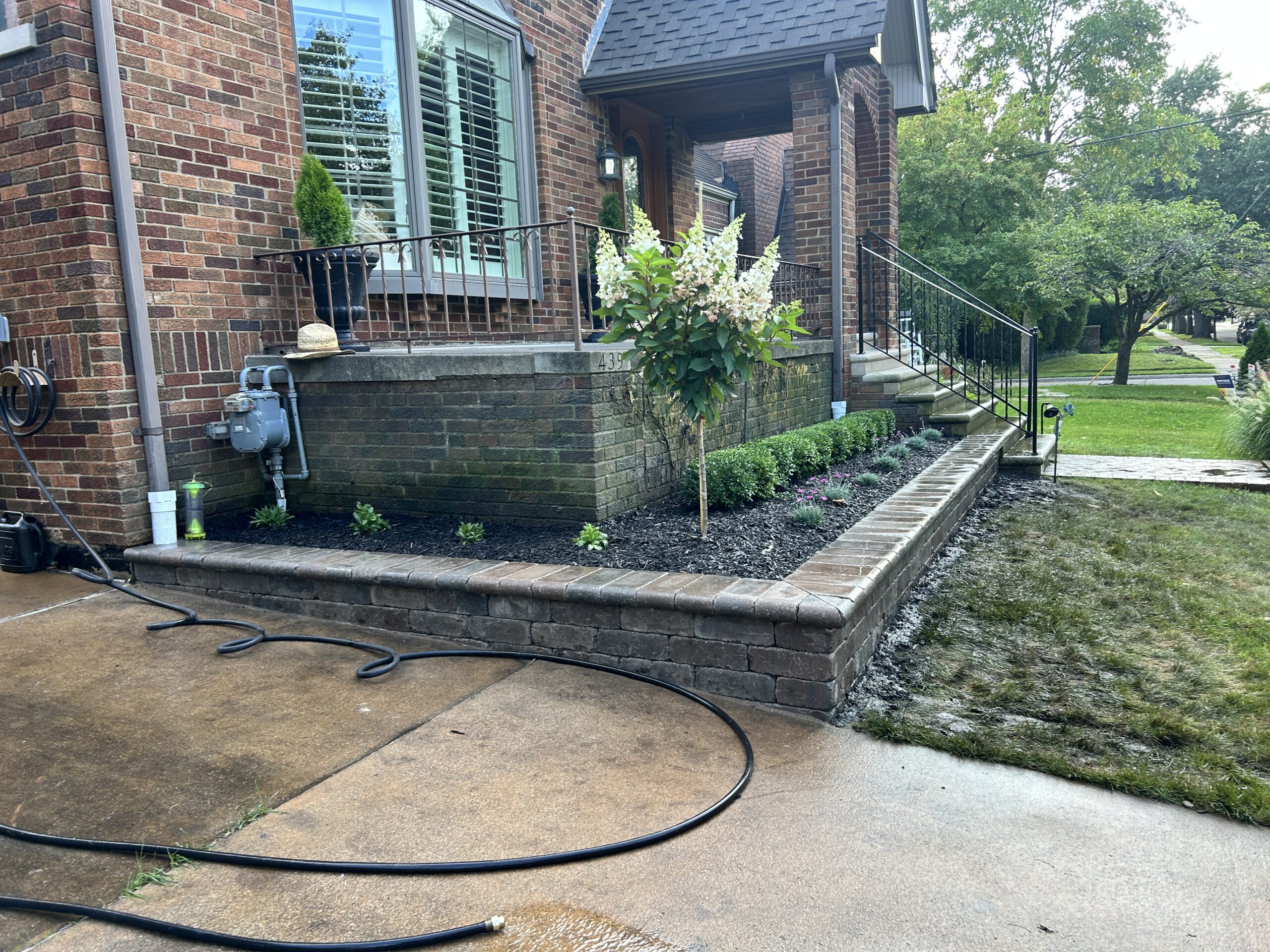 Before — Front Yard Transformation